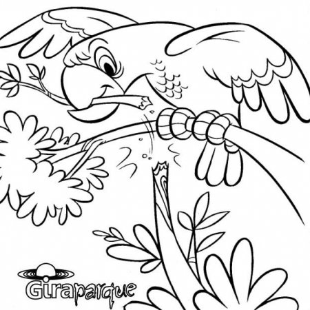 Desenho para Colorir - Giraparque